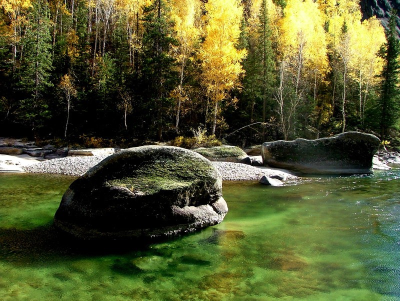 那个嫁到伊犁的可可托海女孩