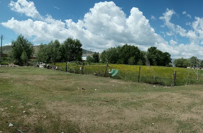 那个嫁到伊犁的可可托海女孩