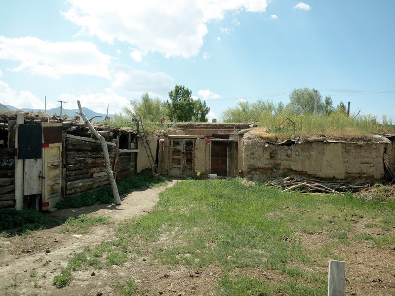 那个嫁到伊犁的可可托海女孩