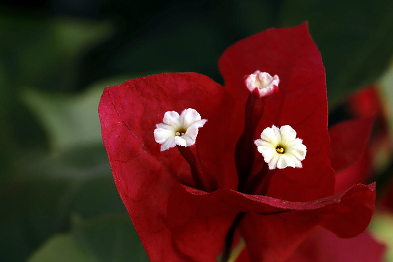 写给2021年：往事清零，未来可期