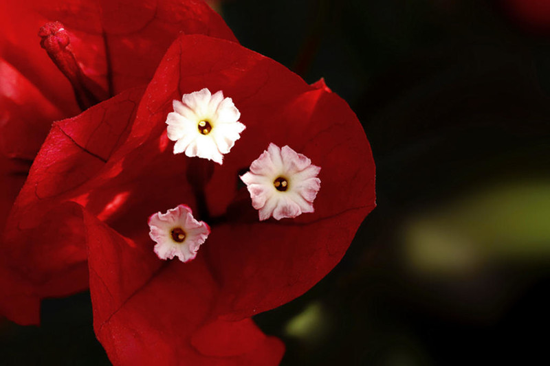 写给2021年：往事清零，未来可期