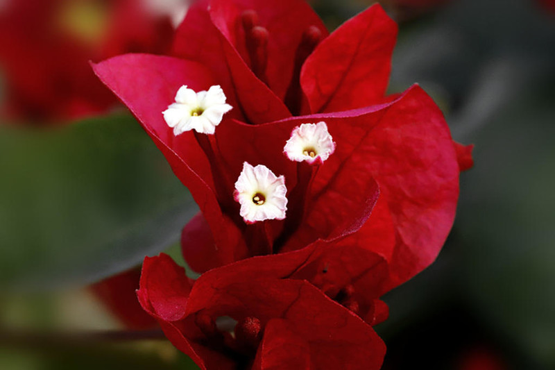 写给2021年：往事清零，未来可期