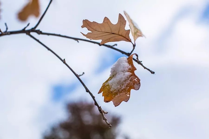 时光荏苒，请一路欢笑前行