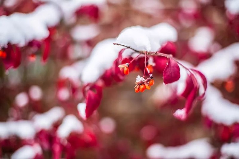 时光荏苒，请一路欢笑前行