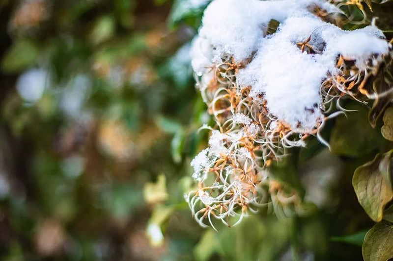 时光荏苒，请一路欢笑前行