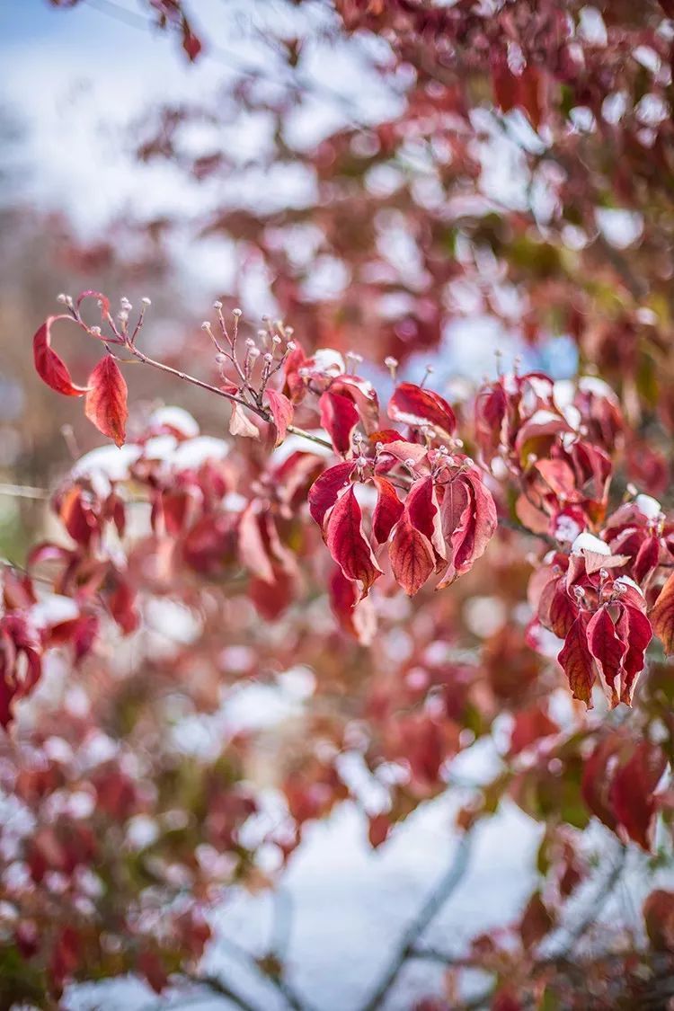 时光荏苒，请一路欢笑前行