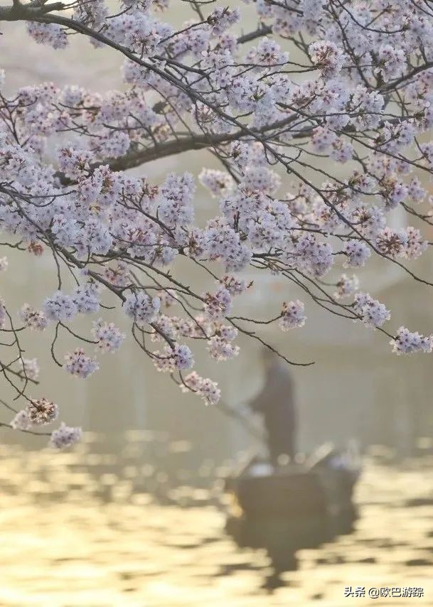 国内不能辜负的12个绝美古镇，累了就去小住几日，你去过几个？