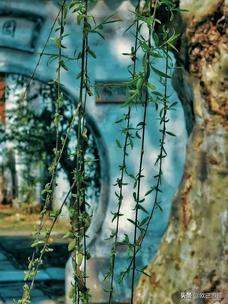 国内不能辜负的12个绝美古镇，累了就去小住几日，你去过几个？