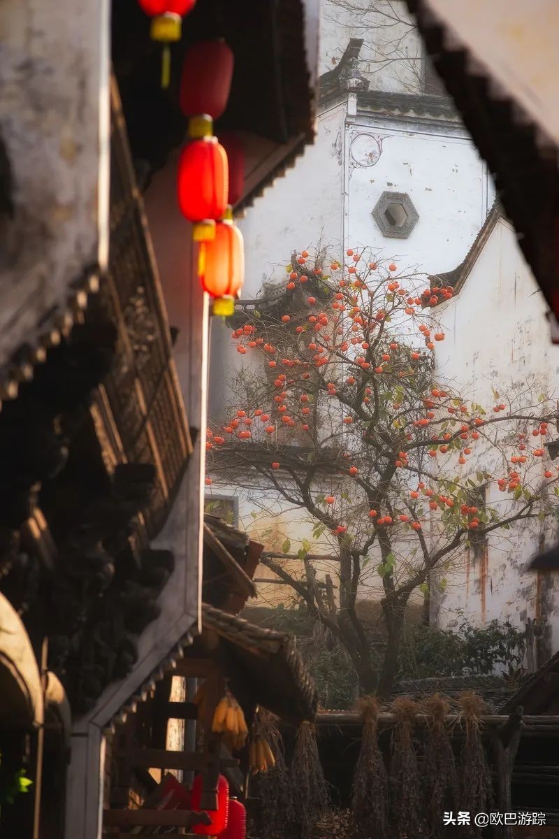 国内不能辜负的12个绝美古镇，累了就去小住几日，你去过几个？