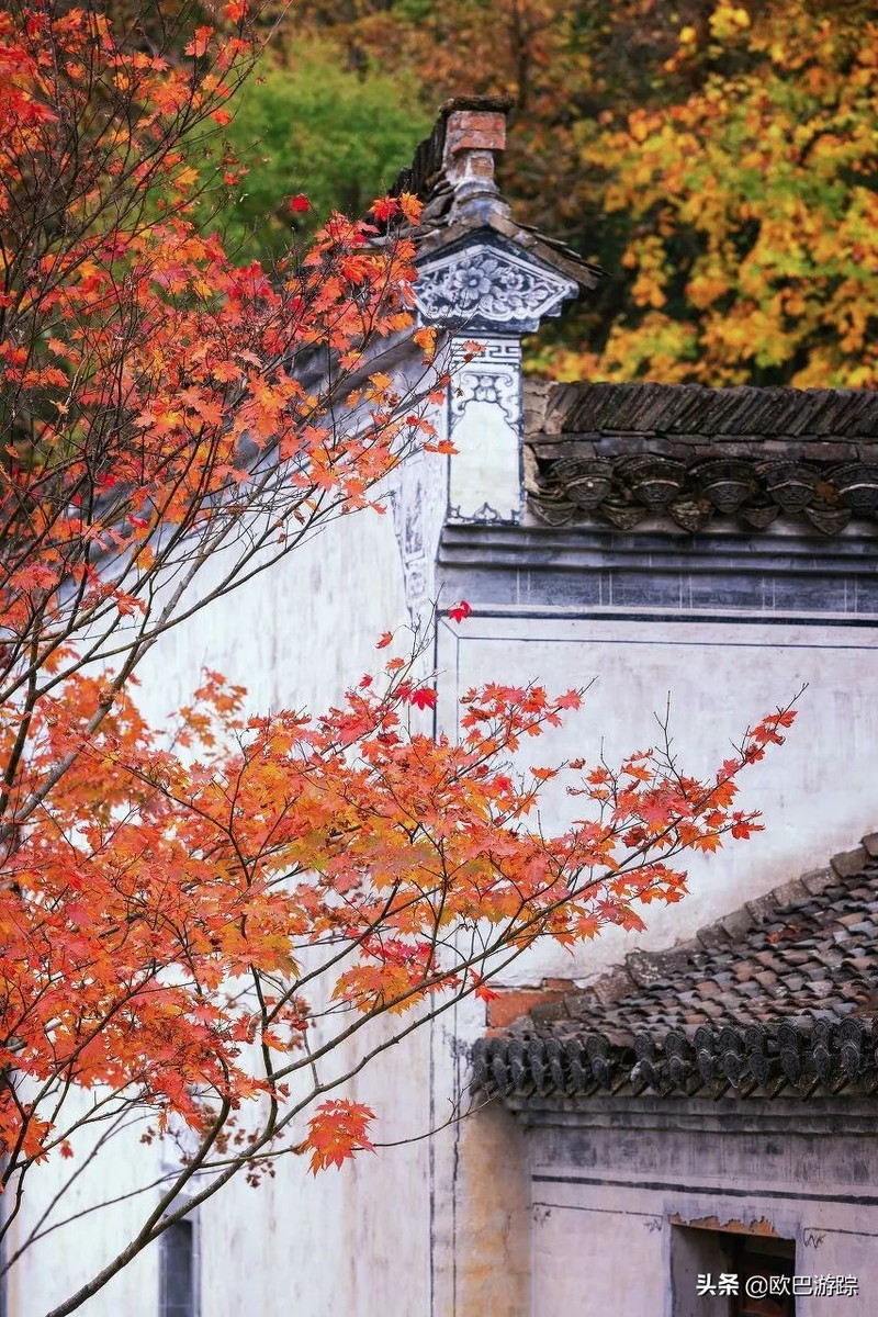 国内不能辜负的12个绝美古镇，累了就去小住几日，你去过几个？