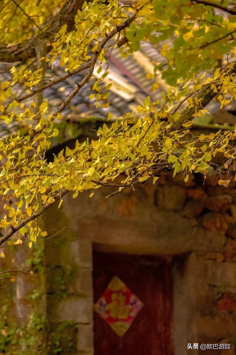 国内不能辜负的12个绝美古镇，累了就去小住几日，你去过几个？