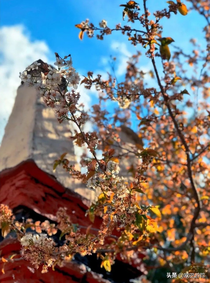 国内不能辜负的12个绝美古镇，累了就去小住几日，你去过几个？