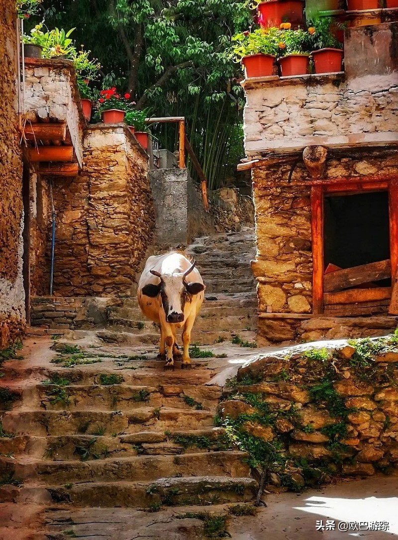 国内不能辜负的12个绝美古镇，累了就去小住几日，你去过几个？