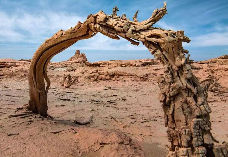 世界上最贵的景点门票-楼兰古城到底多少钱？