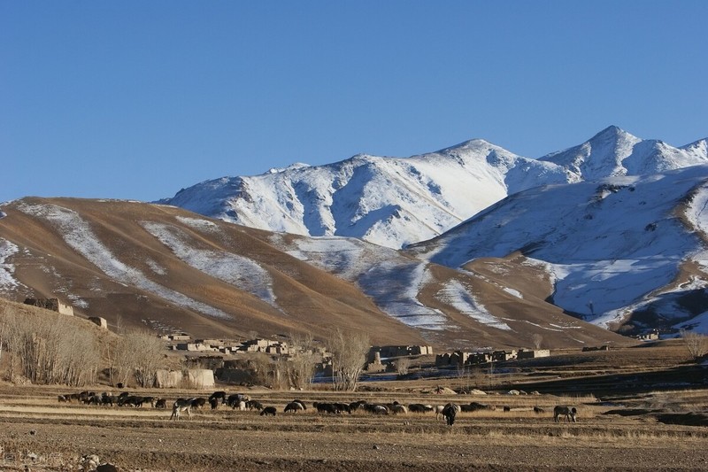 中国的14大邻国都具有哪些突出亮点？