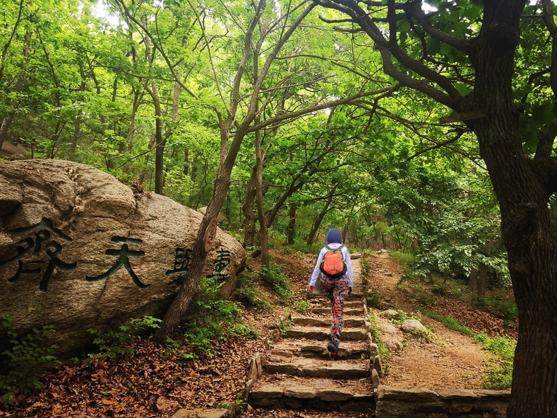 大连小黑山氤氲意境休闲游山