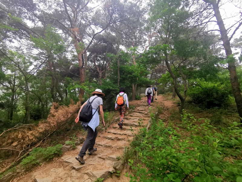 大连小黑山氤氲意境休闲游山