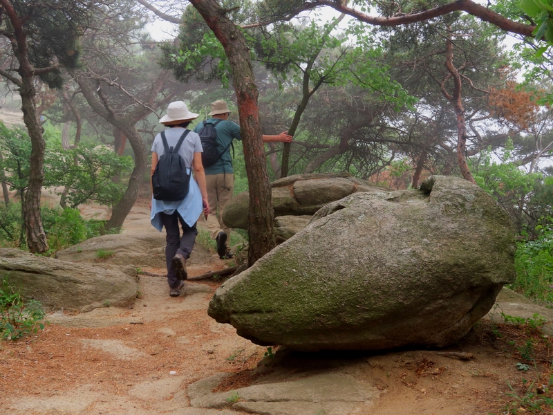 大连小黑山氤氲意境休闲游山