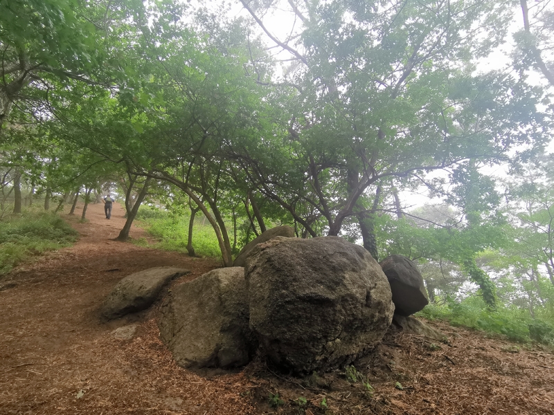 大连小黑山氤氲意境休闲游山