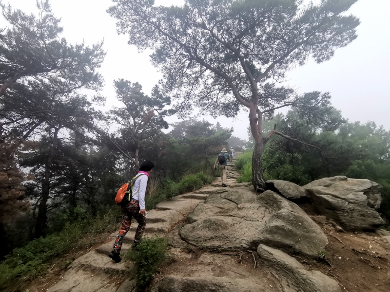 大连小黑山氤氲意境休闲游山
