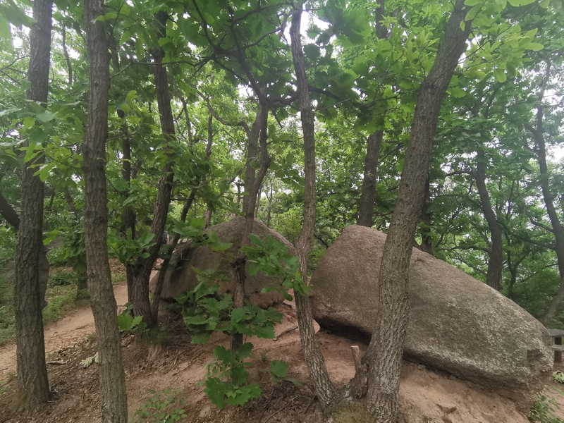 大连小黑山氤氲意境休闲游山