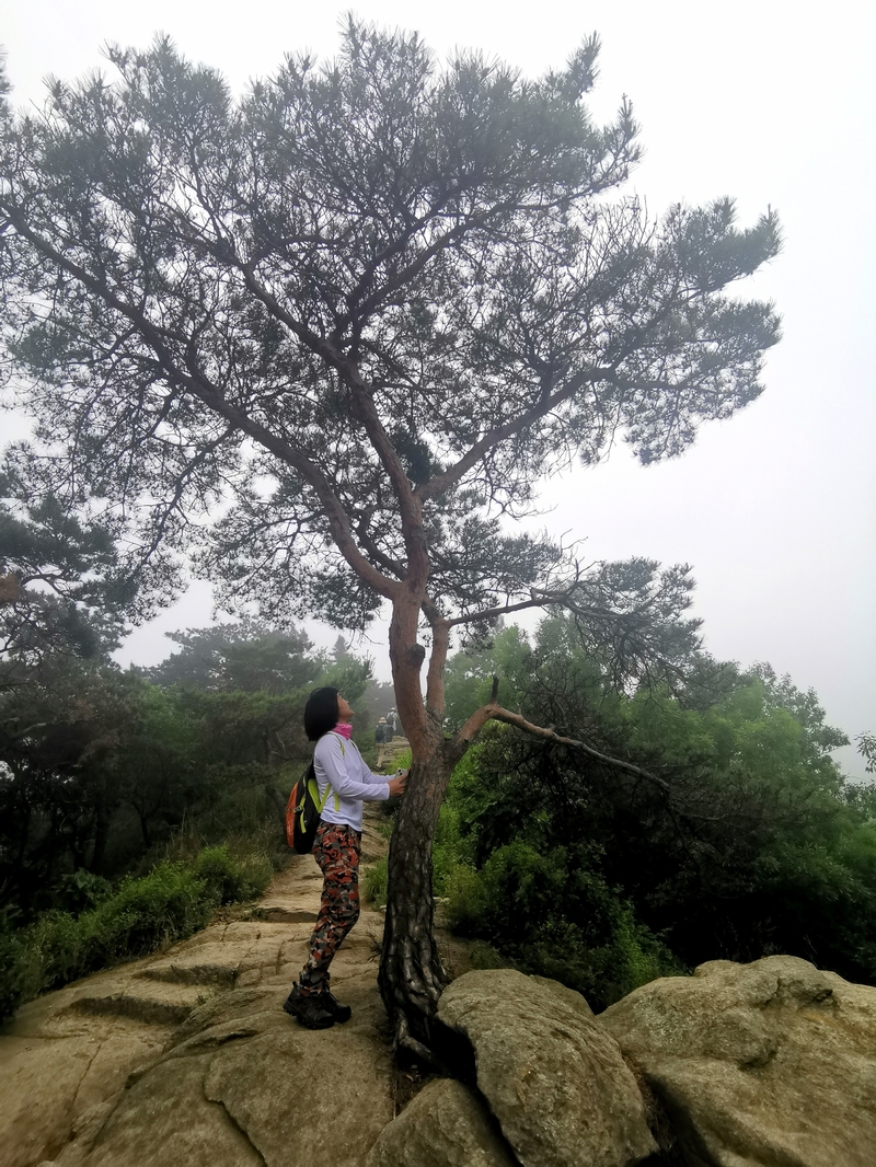 大连小黑山氤氲意境休闲游山