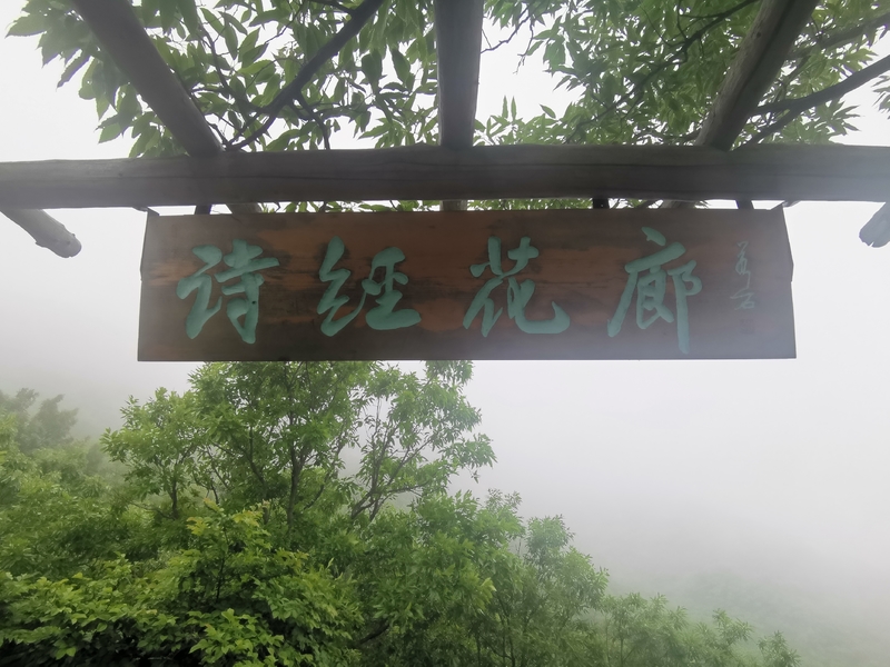 大连小黑山氤氲意境休闲游山