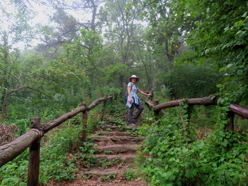 大连小黑山氤氲意境休闲游山