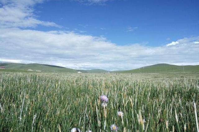 100张图片告诉你，欠下的旅行该还了