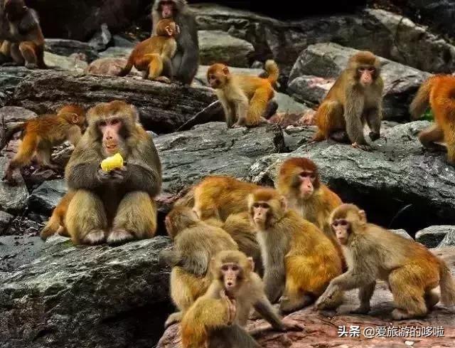 它霸占了太行山50%精绝奇景，高铁直达，却隐匿了2200年！