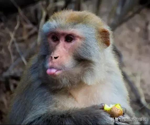 它霸占了太行山50%精绝奇景，高铁直达，却隐匿了2200年！