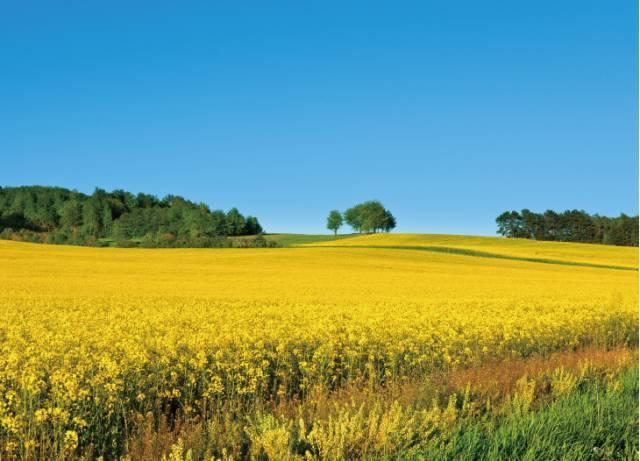 教你2招，用手机摄影秒杀朋友圈！