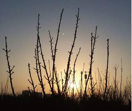 教你2招，用手机摄影秒杀朋友圈！