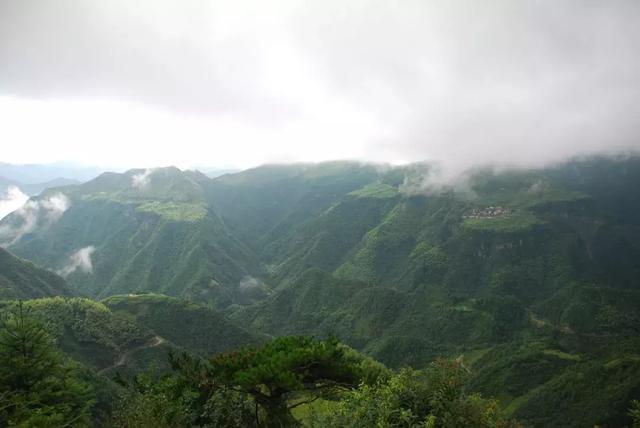 浙江有个“悬崖村”，藏在海拔800多米的深山中，绝美的天空之城