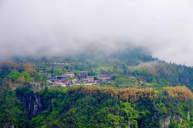 浙江有个“悬崖村”，藏在海拔800多米的深山中，绝美的天空之城