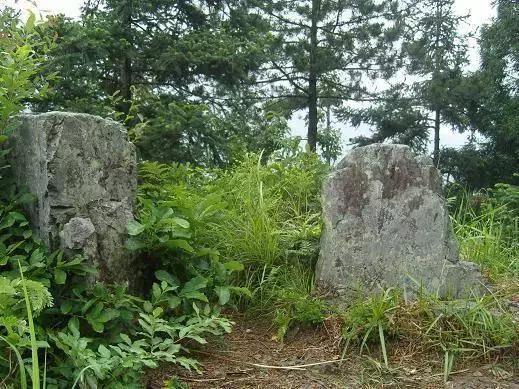 浙江有个“悬崖村”，藏在海拔800多米的深山中，绝美的天空之城