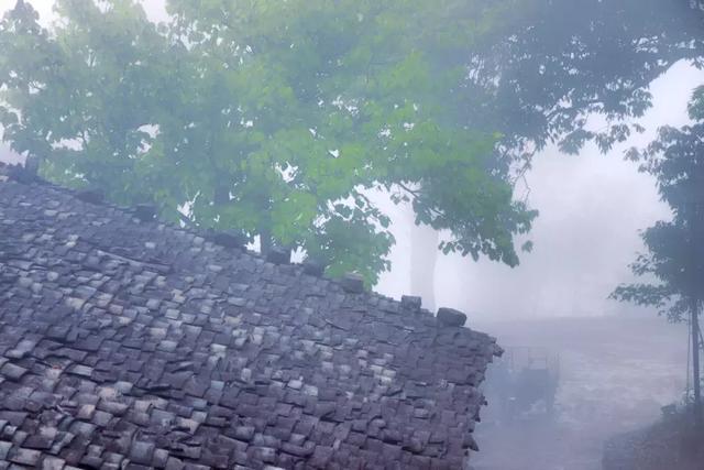 浙江有个“悬崖村”，藏在海拔800多米的深山中，绝美的天空之城