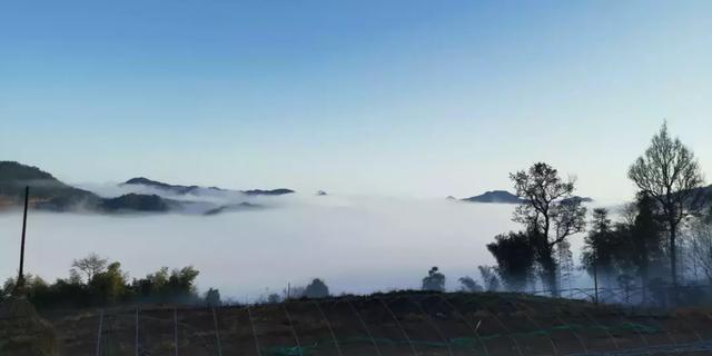 浙江有个“悬崖村”，藏在海拔800多米的深山中，绝美的天空之城