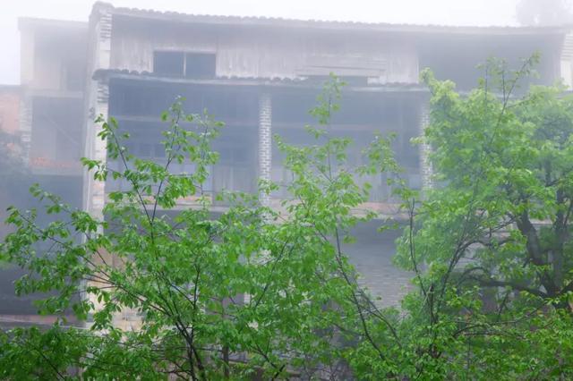 浙江有个“悬崖村”，藏在海拔800多米的深山中，绝美的天空之城