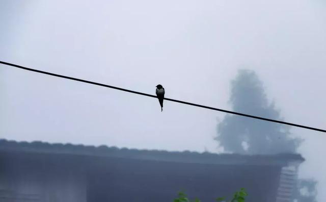 浙江有个“悬崖村”，藏在海拔800多米的深山中，绝美的天空之城