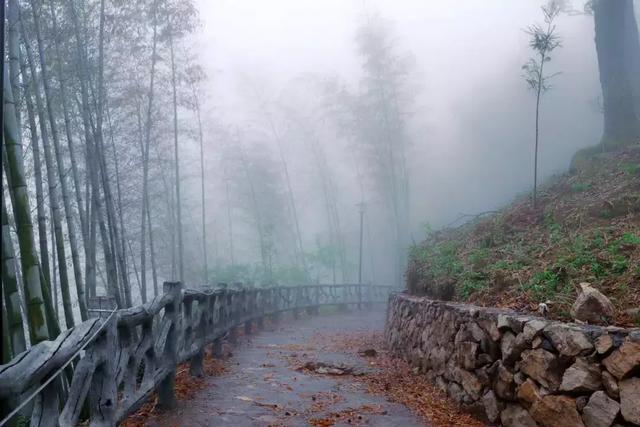 浙江有个“悬崖村”，藏在海拔800多米的深山中，绝美的天空之城