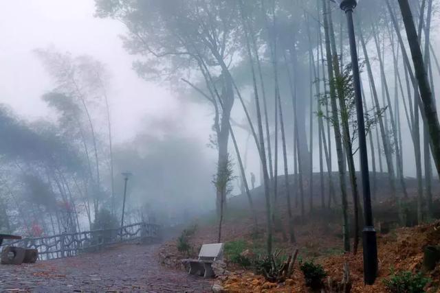 浙江有个“悬崖村”，藏在海拔800多米的深山中，绝美的天空之城