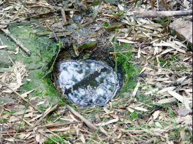 浙江有个“悬崖村”，藏在海拔800多米的深山中，绝美的天空之城