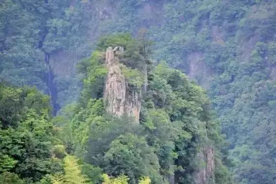 浙江有个“悬崖村”，藏在海拔800多米的深山中，绝美的天空之城