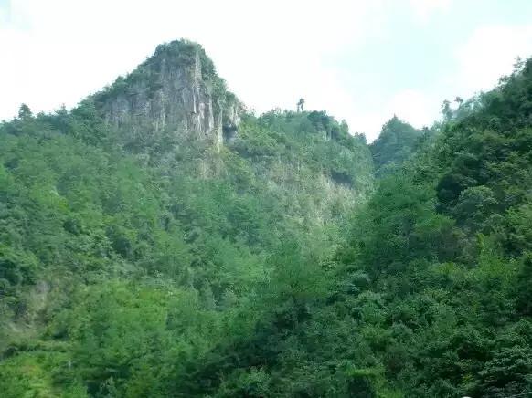 浙江有个“悬崖村”，藏在海拔800多米的深山中，绝美的天空之城