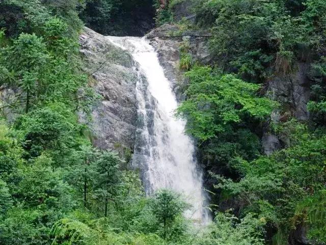 浙江有个“悬崖村”，藏在海拔800多米的深山中，绝美的天空之城