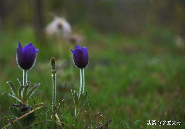 天平之西小西天，太行奇境藏古道