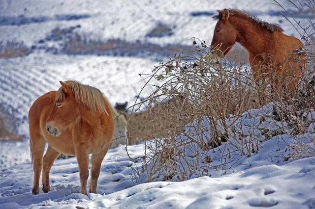 CNN评出中国隐藏的最美仙境！却少有人涉足…