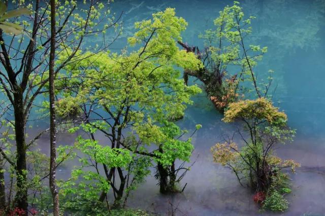 CNN评出中国隐藏的最美仙境！却少有人涉足…