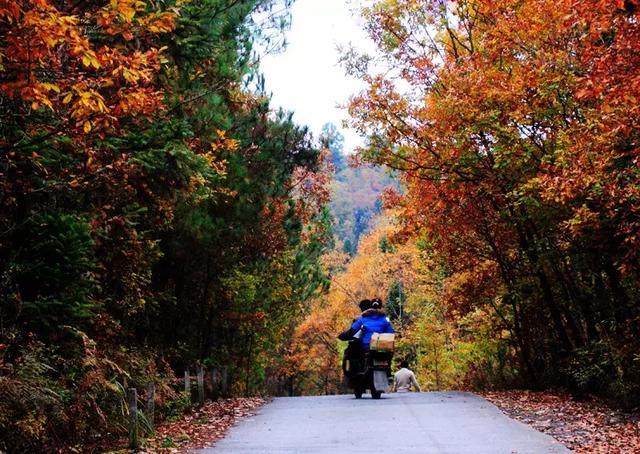CNN评出中国隐藏的最美仙境！却少有人涉足…